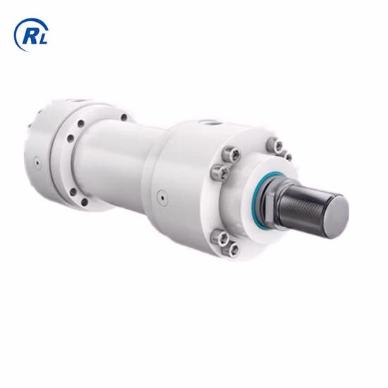 Qingdao Ruilan fornece cilindro hidráulico elétrico soldado com preço competitivo